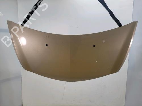 hood-renault-clio-iii-br01-cr01-2005-2006-2007-2008-2009-2010-2011-2012-2013-2014-33533806 main image