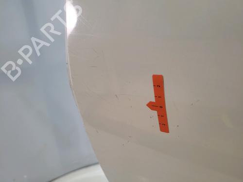 Drzwi tylne lewe RENAULT SCÉNIC III (JZ0/1_) 1.5 dCi | BP29018441C4