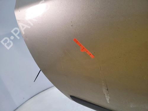 Left front door NISSAN MICRA III (K12) 1.2 16V | BP29849457C2 