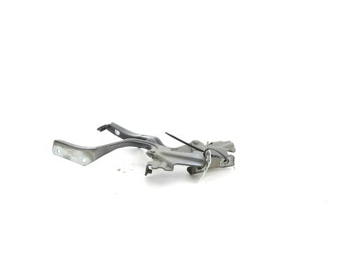 Hinge/Door check strap NISSAN NOTE (E12) 1.5 dCi | BP27919565C146