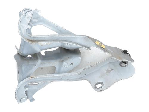 Used Hinge/Door check strap Hinge/Door check strap RENAULT CLIO V (B7_) 1.0 SCe 75 (B7M5) (72 hp) 33645892 33645892