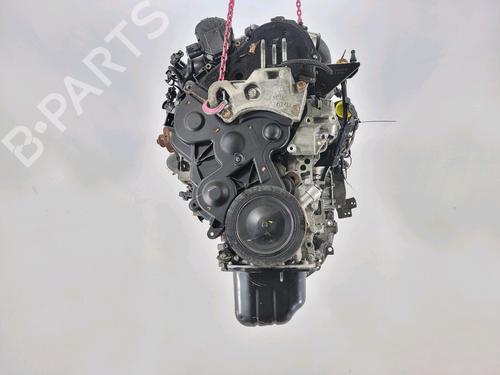 Motor FORD FIESTA VI (CB1, CCN) 1.4 TDCi (70 hp) 24483005