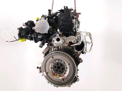 Engine FORD PUMA (J2K, CF7) 1.0 EcoBoost mHEV | BP31349175M1