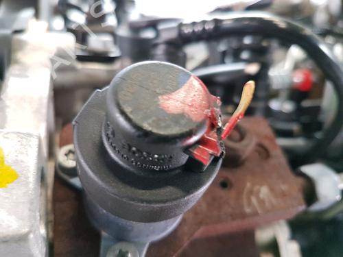 Motor RENAULT MEGANE II (BM0/1_, CM0/1_) 1.9 dCi | BP30165102M1 