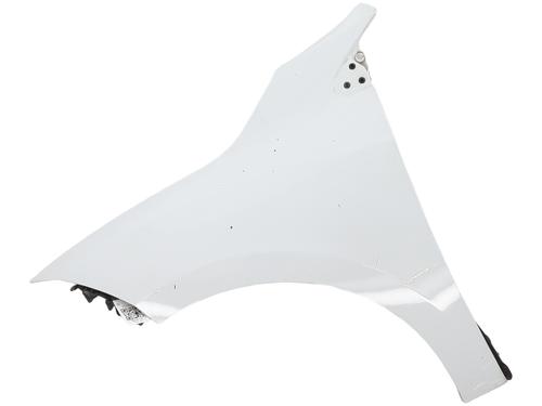 Used Left front fenders Left front fenders RENAULT MEGANE III Hatchback (BZ0/1_, B3_) 1.5 dCi (BZ0C) (90 hp) 33567489 33567489