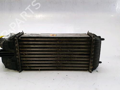 Intercooler PEUGEOT 208 II (UB_, UP_, UW_, UJ_) 1.5 BlueHDI 100 | BP29987683M30 