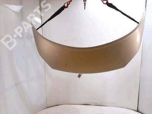 Used Hood Hood RENAULT GRAND SCÉNIC II (JM0/1_) 2.0 dCi (JM1K) (150 hp) 10524476 10524476