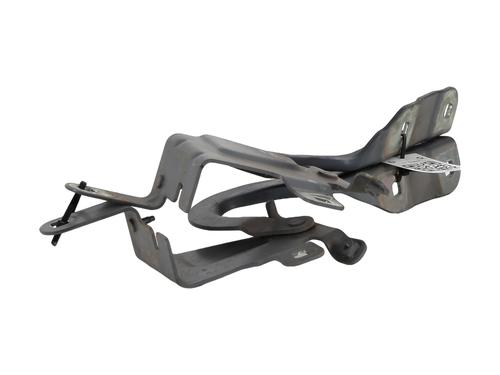 Hinge/Door check strap RENAULT CLIO IV (BH_) 1.5 dCi 90 | BP28720706C146 