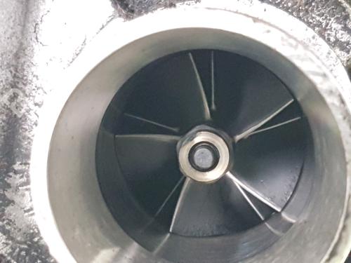 Engine RENAULT CLIO II (BB_, CB_)  | BP31913256M1 