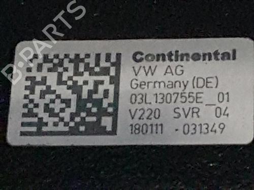 Engine SEAT IBIZA IV ST (6J8, 6P8) 1.6 TDI | BP28207667M1 