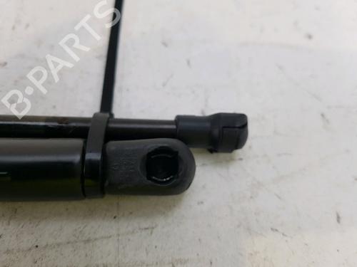 Tailgate lift support FORD MONDEO II (BAP)  | BP27916883C138 