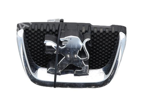 Used Grille PEUGEOT 407 SW (6E_, 6D_) 1.6 HDi 110 (109 hp) 28417093