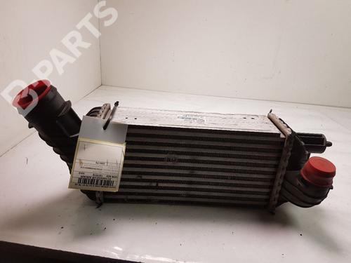 Used Intercooler Intercooler PEUGEOT 308 I (4A_, 4C_) 2.0 HDi (150 hp) 10470999 10470999