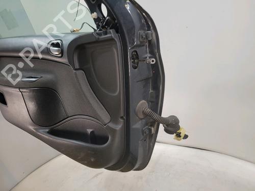 Left front door PEUGEOT 206+ (2L_, 2M_) 1.4 HDi eco 70 | BP29849424C2