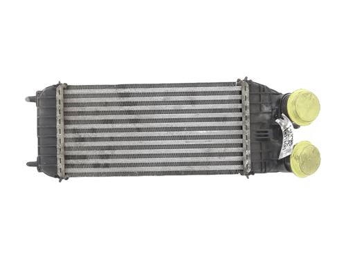 Intercooler CITROËN C3 Picasso (SH_) [2008-2026]  32077067
