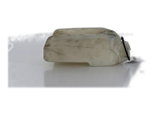 Used Windscreen washer tank RENAULT KANGOO Express (FW0/1_) 1.5 dCi 90 (FW0G, FW05, FW08, FW11) (90 hp) 29019078