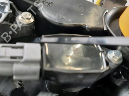 Motor RENAULT CLIO V (B7_) 1.0 TCe 90 (B7MT) | BP32202164M1