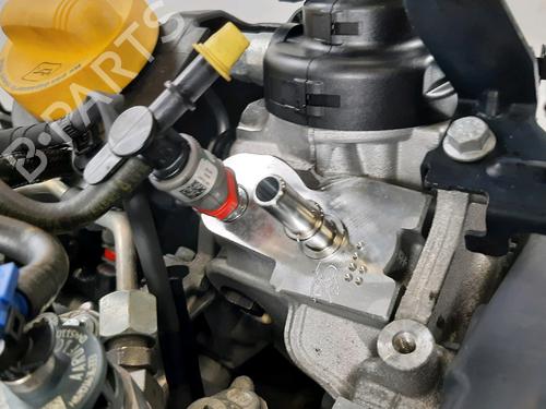 Engine RENAULT CLIO V (B7_) 1.5 Blue dCi 85 (B7AG) | BP32006387M1 