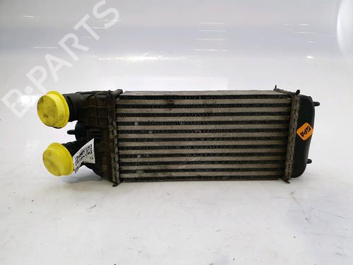 Used Intercooler CITROËN C3 II (SC_) 1.6 HDi (92 hp) 28616378