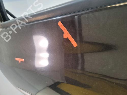 Left front door RENAULT CLIO III (BR0/1, CR0/1) 1.5 dCi | BP30313044C2 