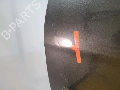 Left front door FIAT BRAVO II (198_) 1.6 D Multijet (198AXH1B) | BP28536341C2 