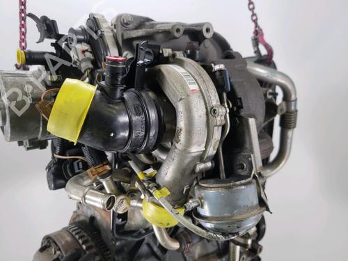 Motor RENAULT MEGANE II (BM0/1_, CM0/1_) 1.9 dCi | BP29741296M1