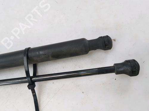 Tailgate lift support PEUGEOT 208 I (CA_, CC_) 1.4 HDi | BP27916890C138 