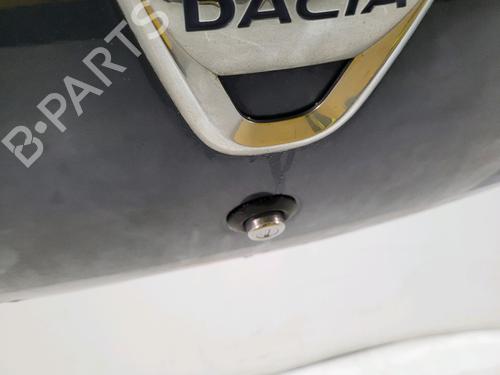 Tailgate DACIA SANDERO II 1.2 | BP31913401C6