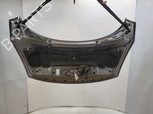 Hood RENAULT SCÉNIC III (JZ0/1_) 1.5 dCi | BP29874688C1