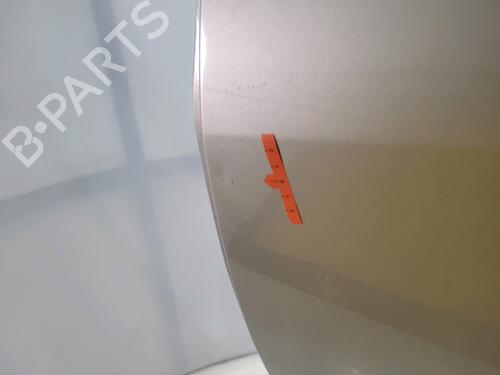 Left rear door RENAULT SCÉNIC III (JZ0/1_) 1.5 dCi | BP28971764C4