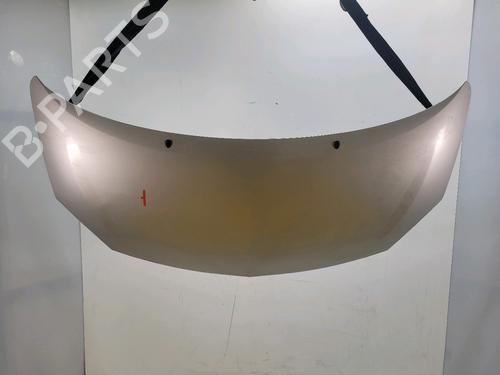 hood-renault-twingo-ii-cn0_-2007-33567548 main image