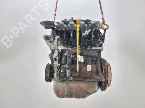 Engine RENAULT CLIO III (BR0/1, CR0/1) 1.2 16V (BR02, BR0J, BR11, CR02, CR0J, CR11) | BP29389734M1 