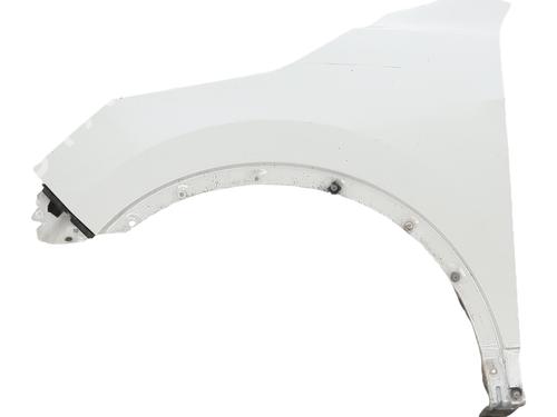 Used Left front fenders NISSAN QASHQAI II (J11, J11_) 1.6 dCi (130 hp) 30312846