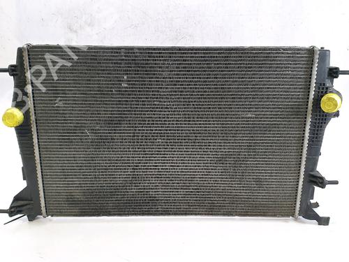 Used Water radiator RENAULT SCÉNIC III (JZ0/1_) 1.9 dCi (JZ0J, JZ1J, JZ1K, JZ1S) (131 hp) 30118719