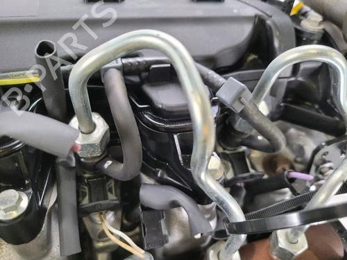 Motor RENAULT CLIO III (BR0/1, CR0/1) 1.5 dCi | BP29819658M1 