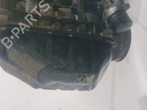 Engine RENAULT TWINGO II (CN0_) 1.2 16V (CN04, CN0B) | BP29902889M1