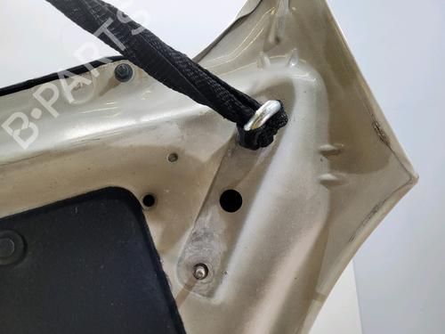 Hood CITROËN C4 Picasso I MPV (UD_) 1.6 HDi | BP29145028C1 