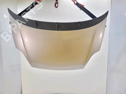 hood-fiat-punto-evo-199_-2008-36831601 main image