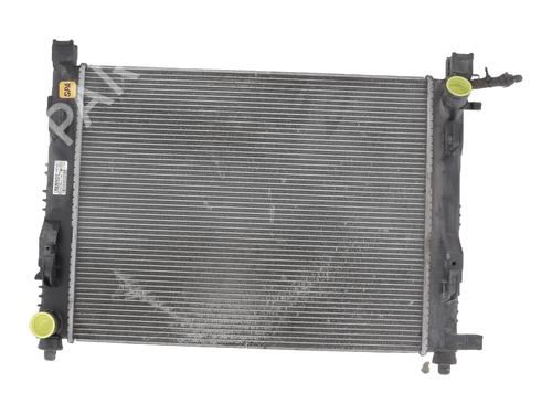 Used Water radiator DACIA LODGY (JS_) 1.2 TCe (JSAY, JSM0) (115 hp) 30523583