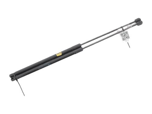 tailgate-lift-support-renault-wind-e4m_-2010-36373425 main image