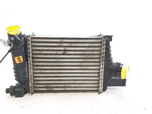 Intercooler RENAULT CLIO III (BR0/1, CR0/1) 1.5 dCi (75 hp) 29346373
