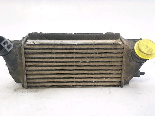 Used Intercooler FORD ECOSPORT 1.0 EcoBoost (125 hp) 29964411