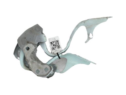 hingedoor-check-strap-fiat-500-312_-2007-35891958 main image