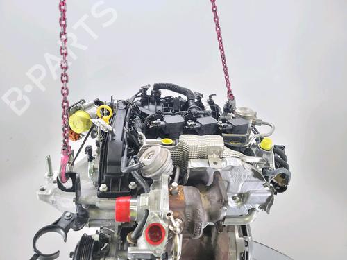 Engine FORD FIESTA VI (CB1, CCN) 1.0 EcoBoost | BP29964447M1 