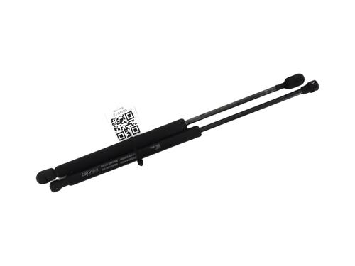 Gasdæmper bagklap RENAULT MEGANE II (BM0/1_, CM0/1_) [2001-2012]  31699890