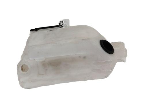 Windscreen washer tank RENAULT KANGOO Express (FW0/1_) 1.5 dCi 95 (FW16) | BP29495443C113 