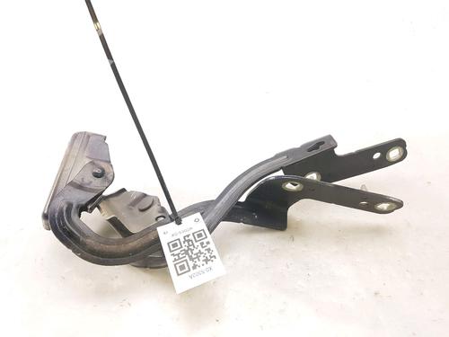 Used Hinge/Door check strap RENAULT MODUS / GRAND MODUS (F/JP0_) 1.5 dCi (FP0F, JP0F) (86 hp) 27919484