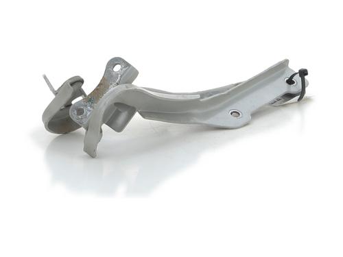Hinge/Door check strap NISSAN PIXO (UA0) 1.0 | BP29495747C146 