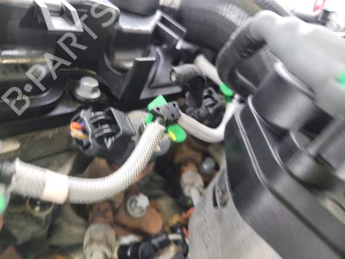 Engine CITROËN BERLINGO MULTISPACE (B9) 1.6 HDi 75 / BlueHDi 75 | BP25797088M1 