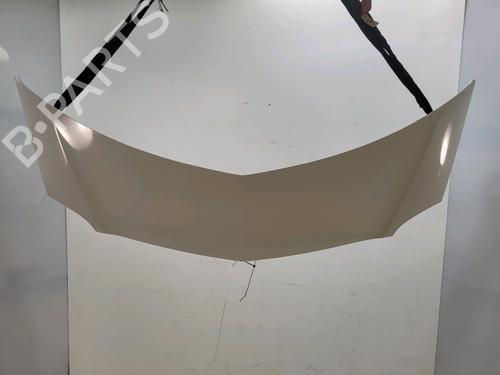 hood-renault-modus-grand-modus-fjp0_-2004-32278967 main image